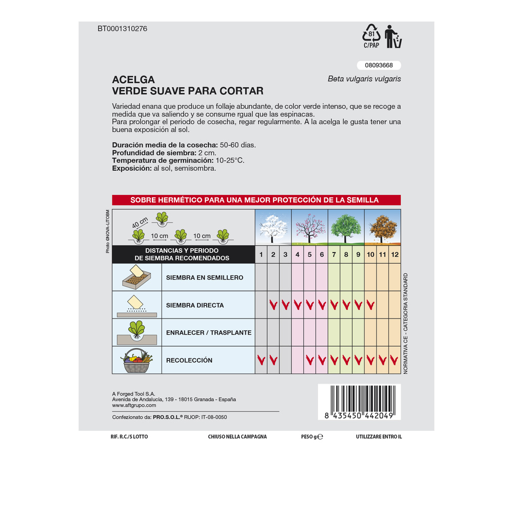Semillas Huerto Acelga - Imagen 2